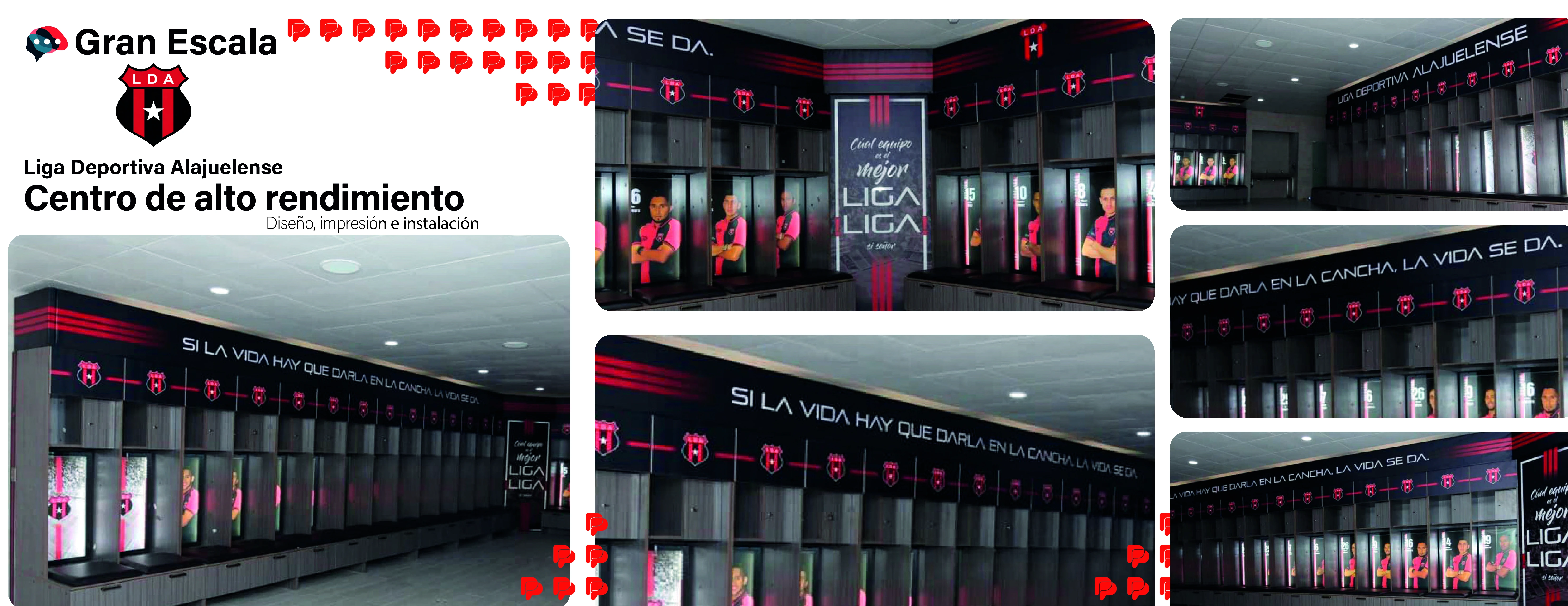 Rotulación — ejemplo 2