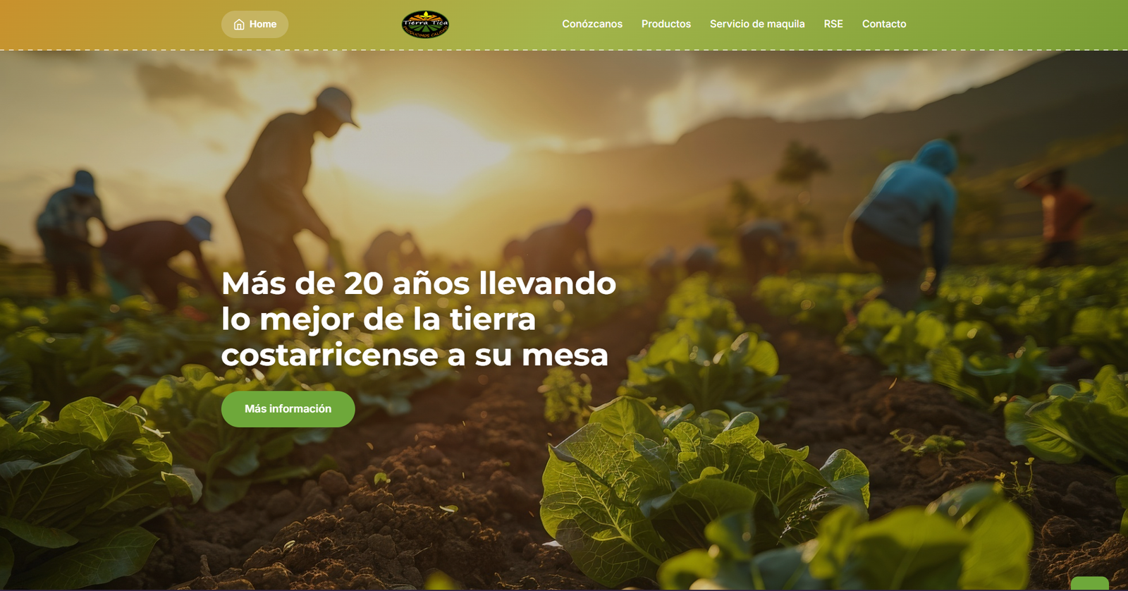 Proyecto 2